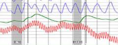 san-francisco-polygraph-test-examination